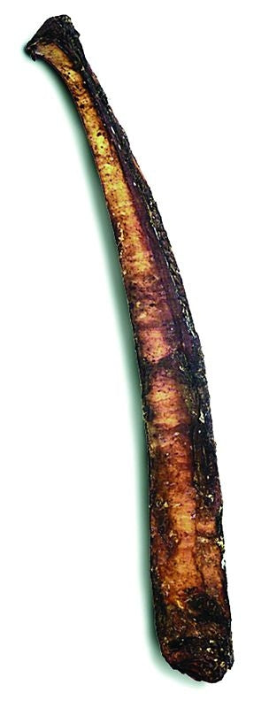 Shrink Wrapped Rib Bone 12