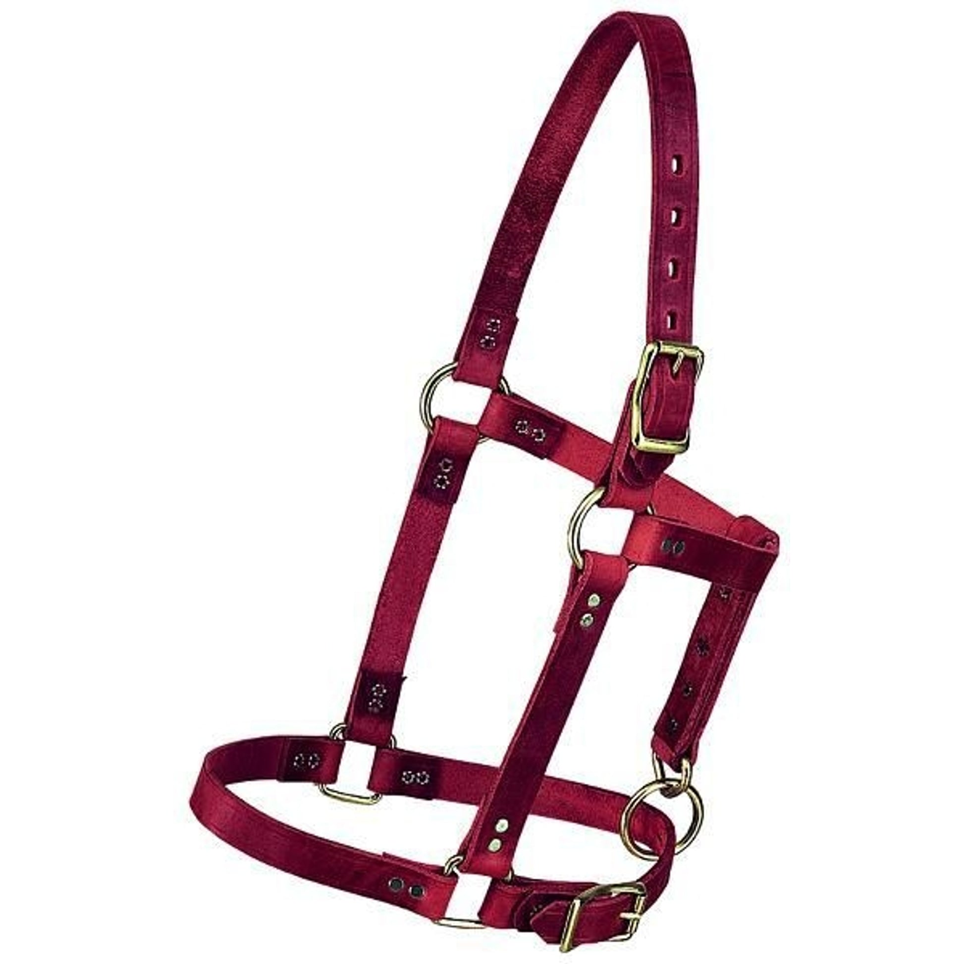 Weaver Riveted Halter with CatchStrap