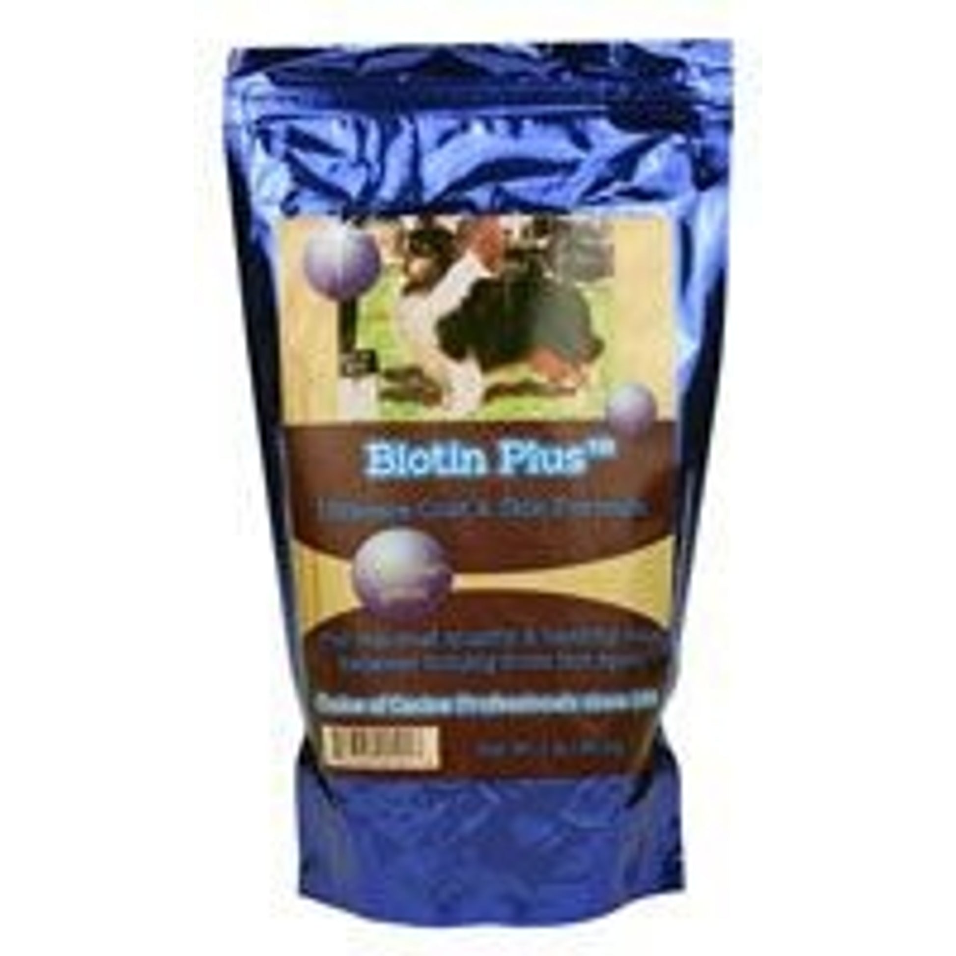 Brandenburg Biotin Plus Ultimate Coat/Skin 1lb