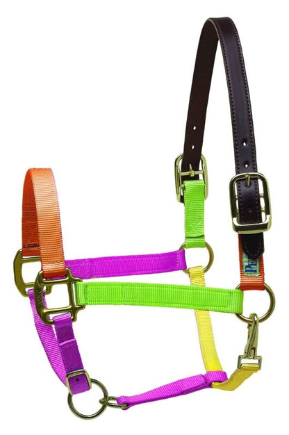 Perris Nylon Safety Halter