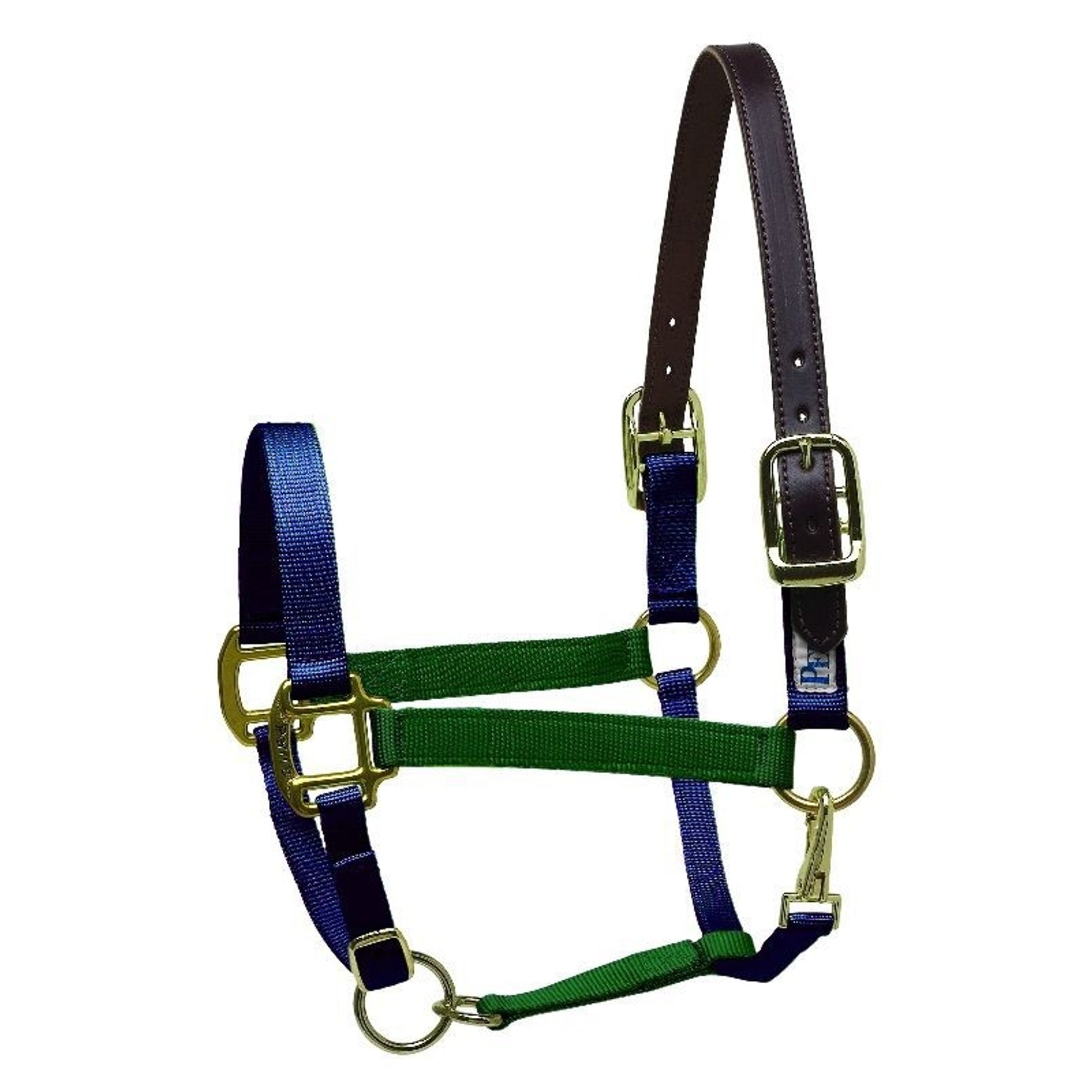 Perri's Color Vision Halter