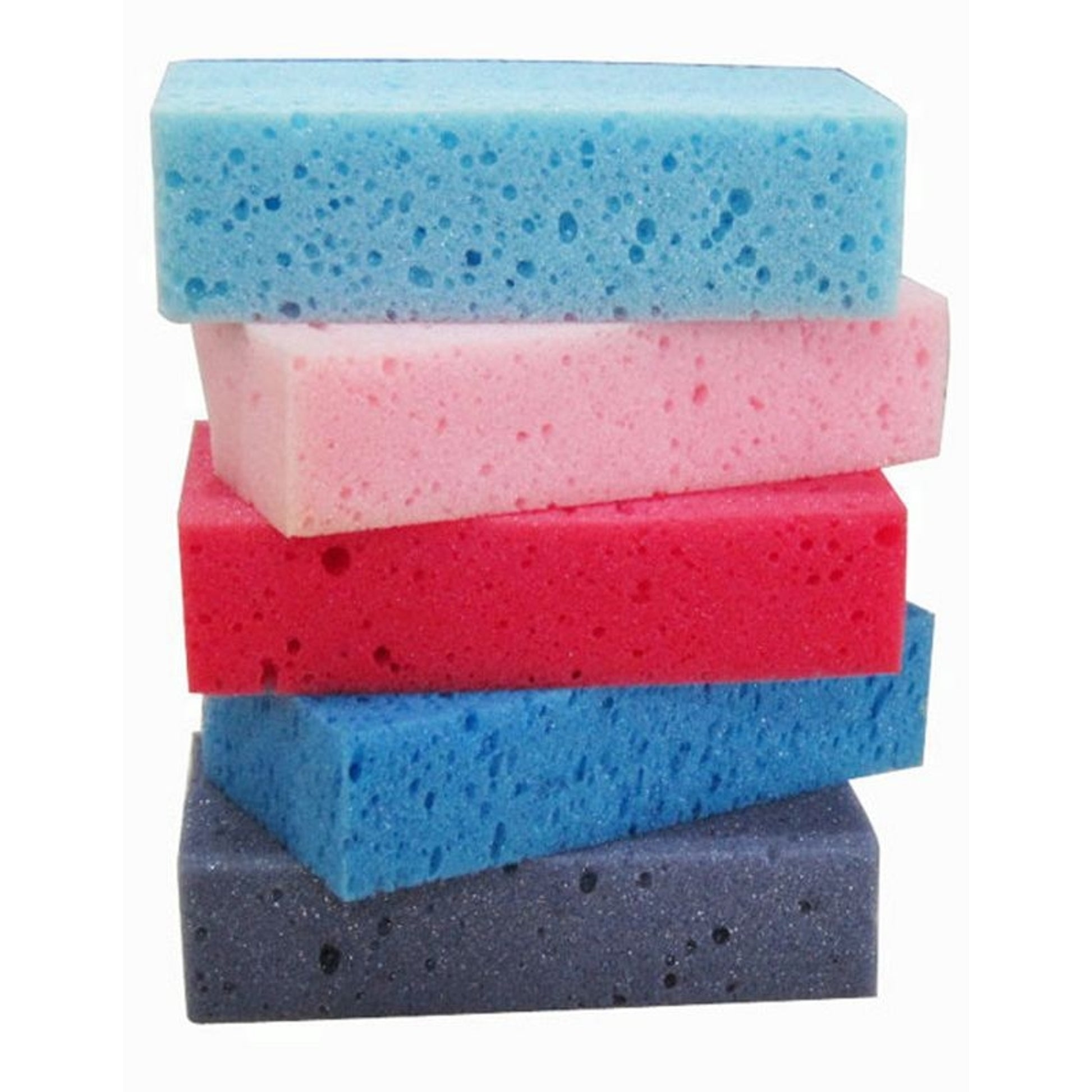 Grooming Sponges 1o Pk