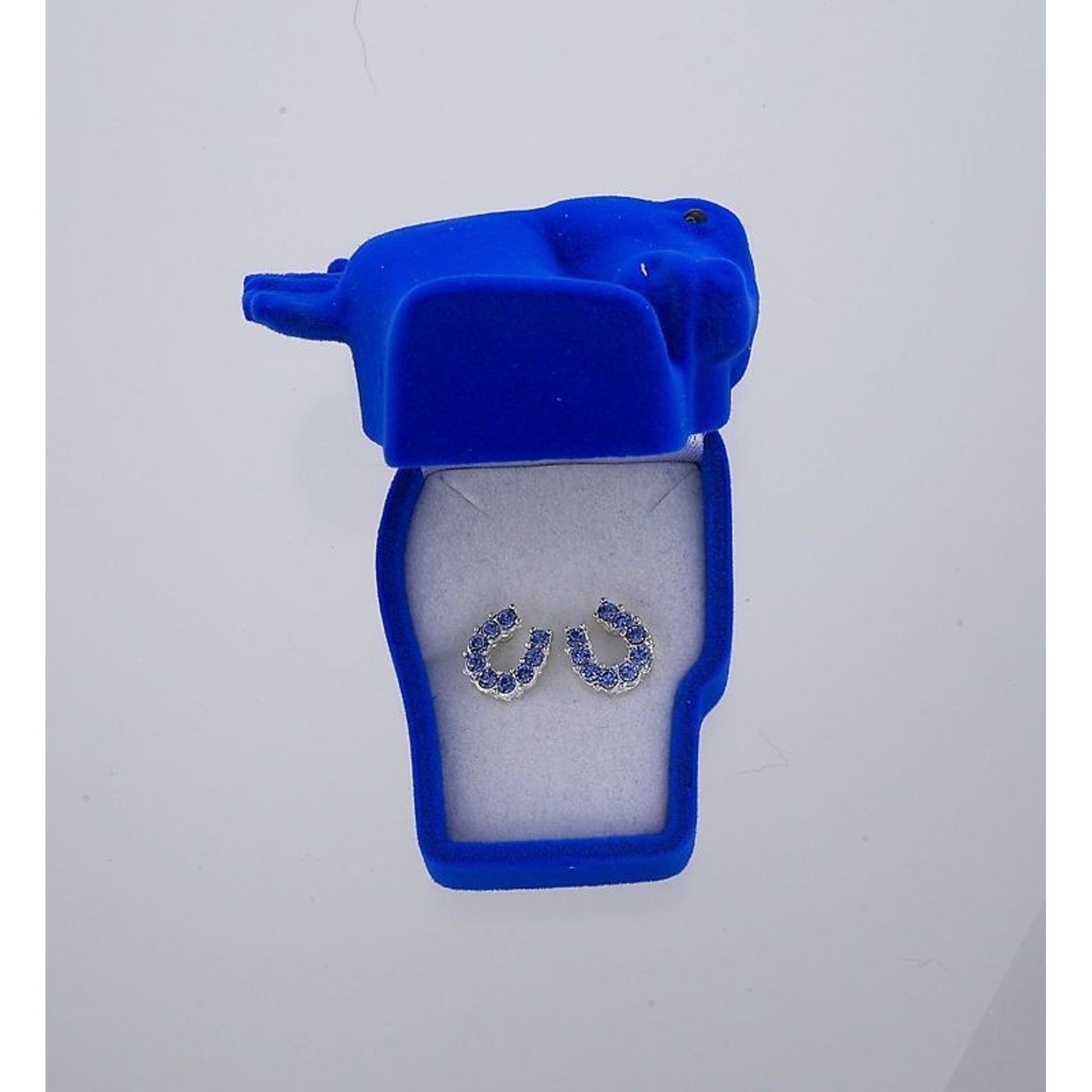 AWST Int'l Rhinestone Horseshoe Earrings with Horse H
