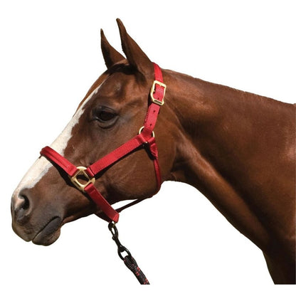 Blocker Reinforced Halter