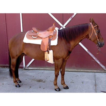 Toklat Cool Back Cinch Cover