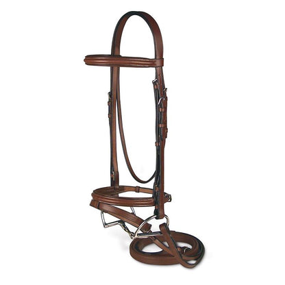 Passport Raised and Padded Bridle with Flash