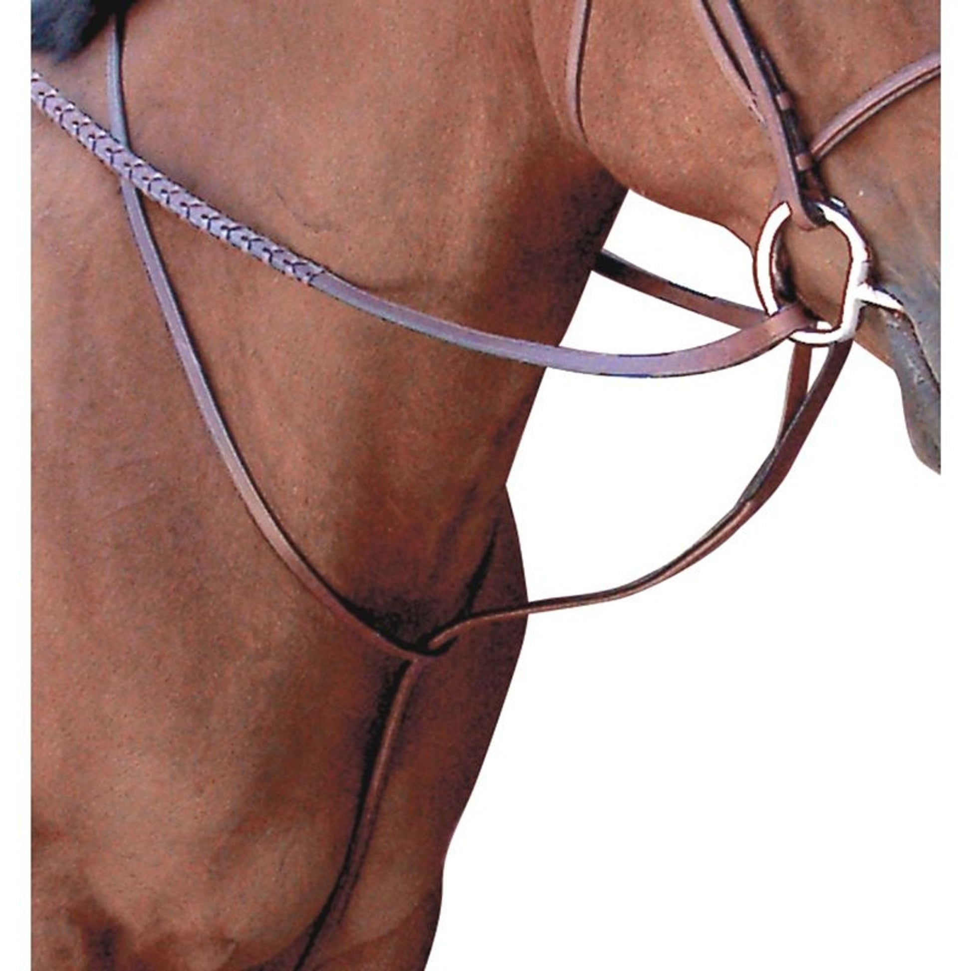 Toklat Passport Square Raise Stand Martingale Cob