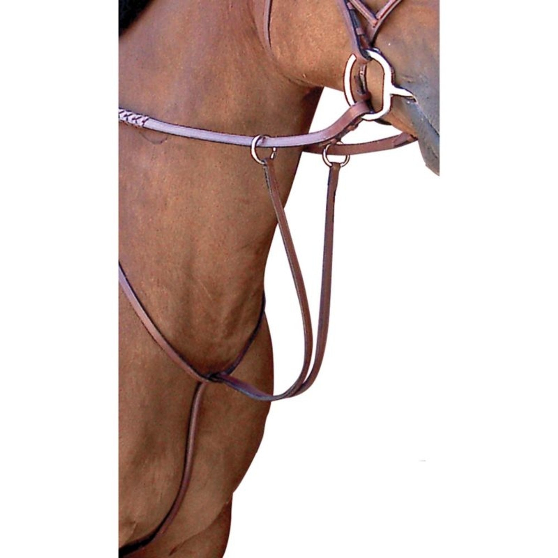 Toklat Passport Plain Raise Run Martingale Cob Mah