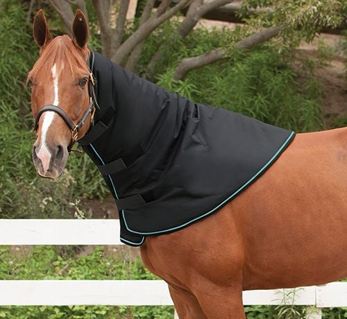 All Around Head & Neck Warmer Medium in Black