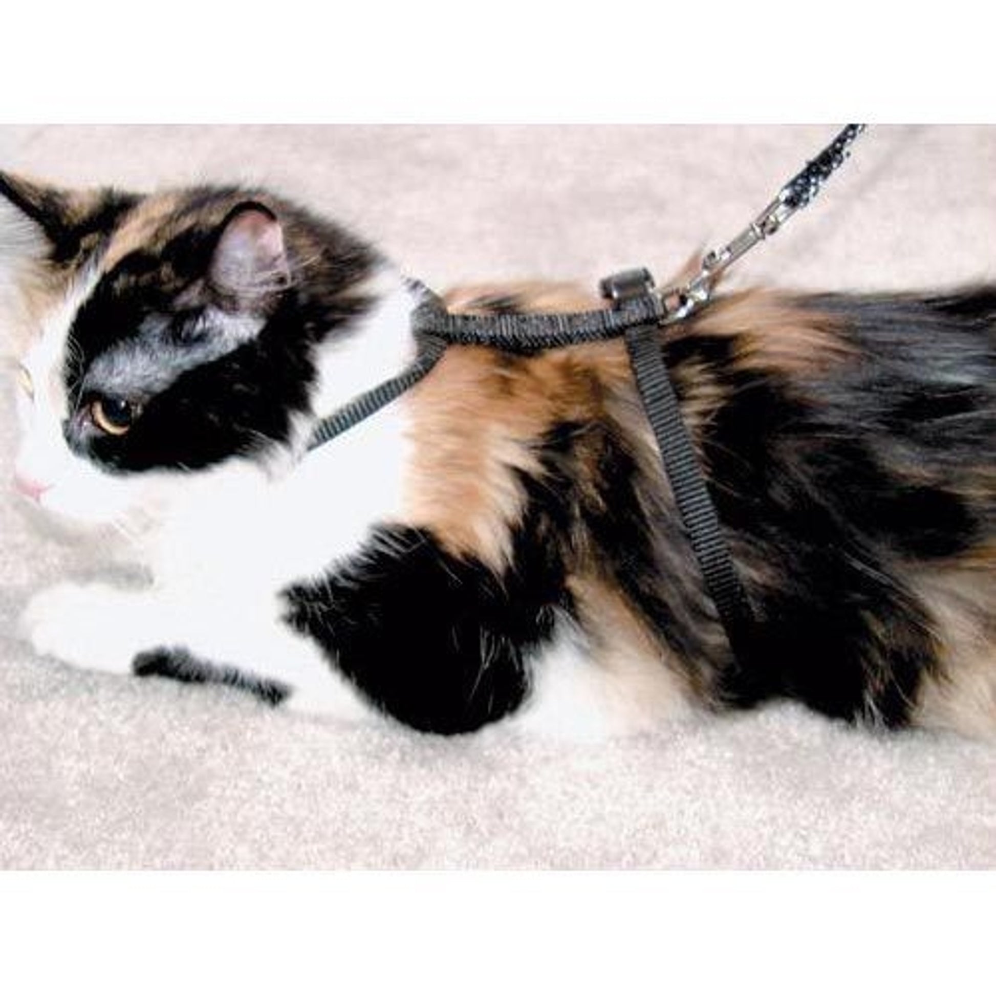 Adjustable Cat Harness