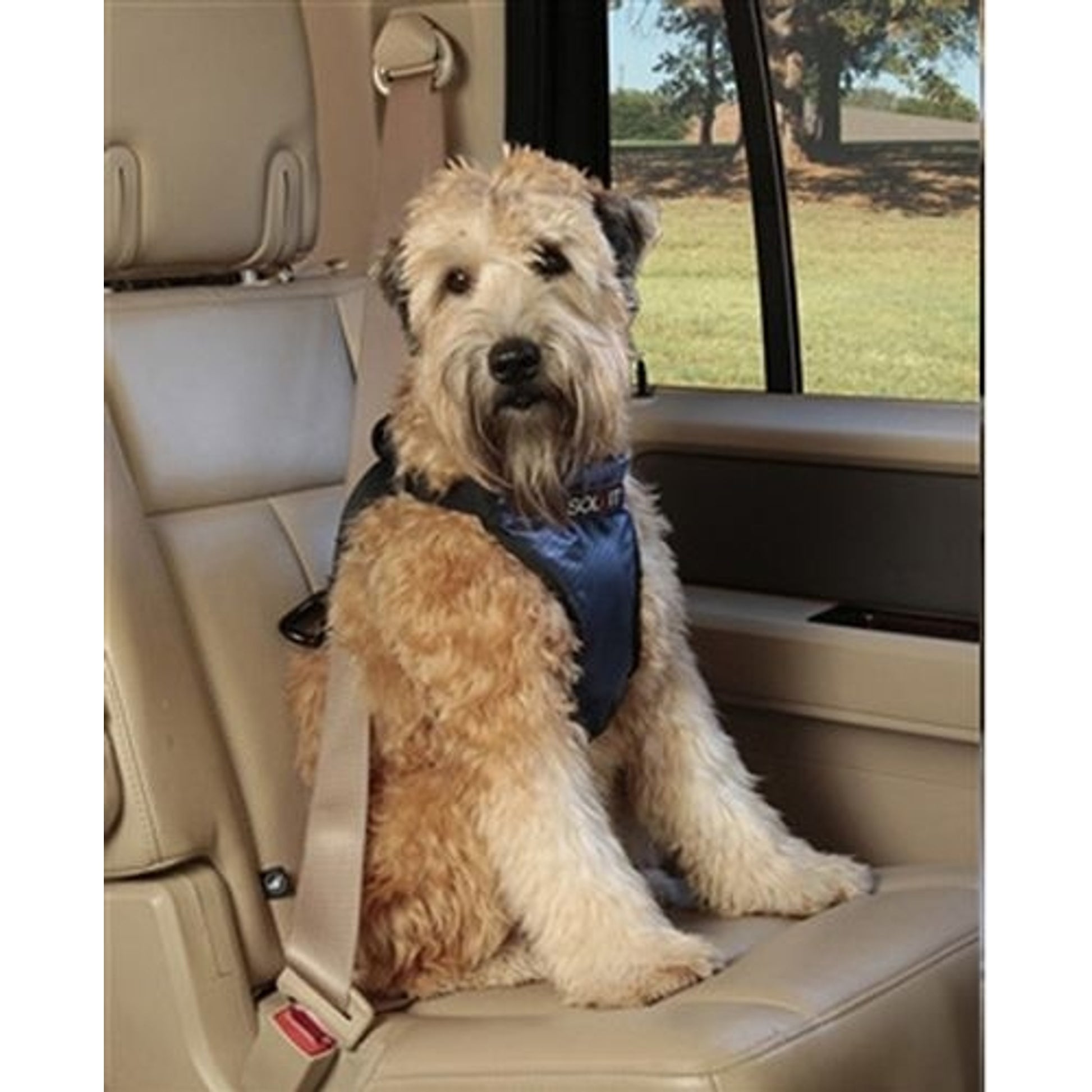 Solvit Pet Vehicle Safety Harness