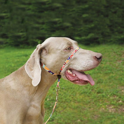 Gentle Leader Chic Dog Headcollar
