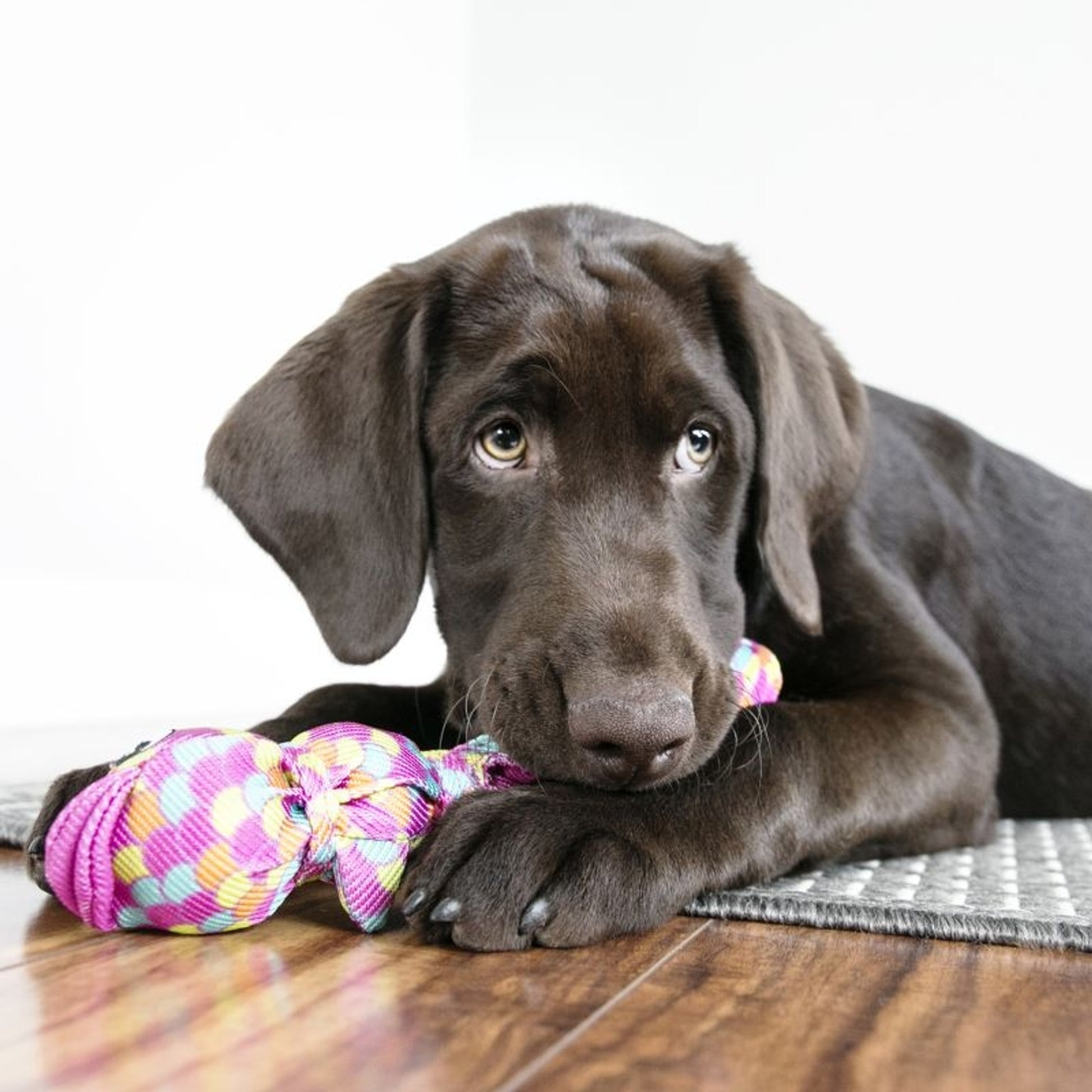 KONG Wubba Finz Dog Toy
