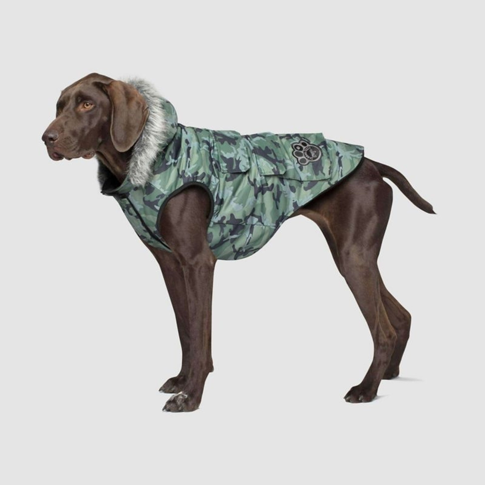 Canada Pooch Everest Explorer Dog Vest