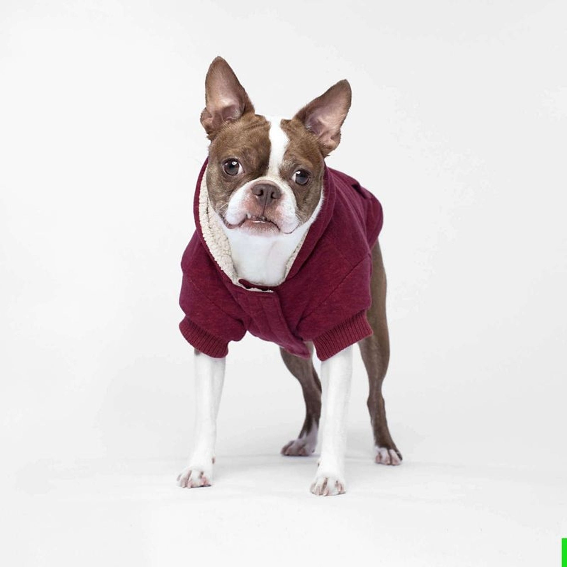 Canada Pooch Cozy Caribou Dog Hoodie