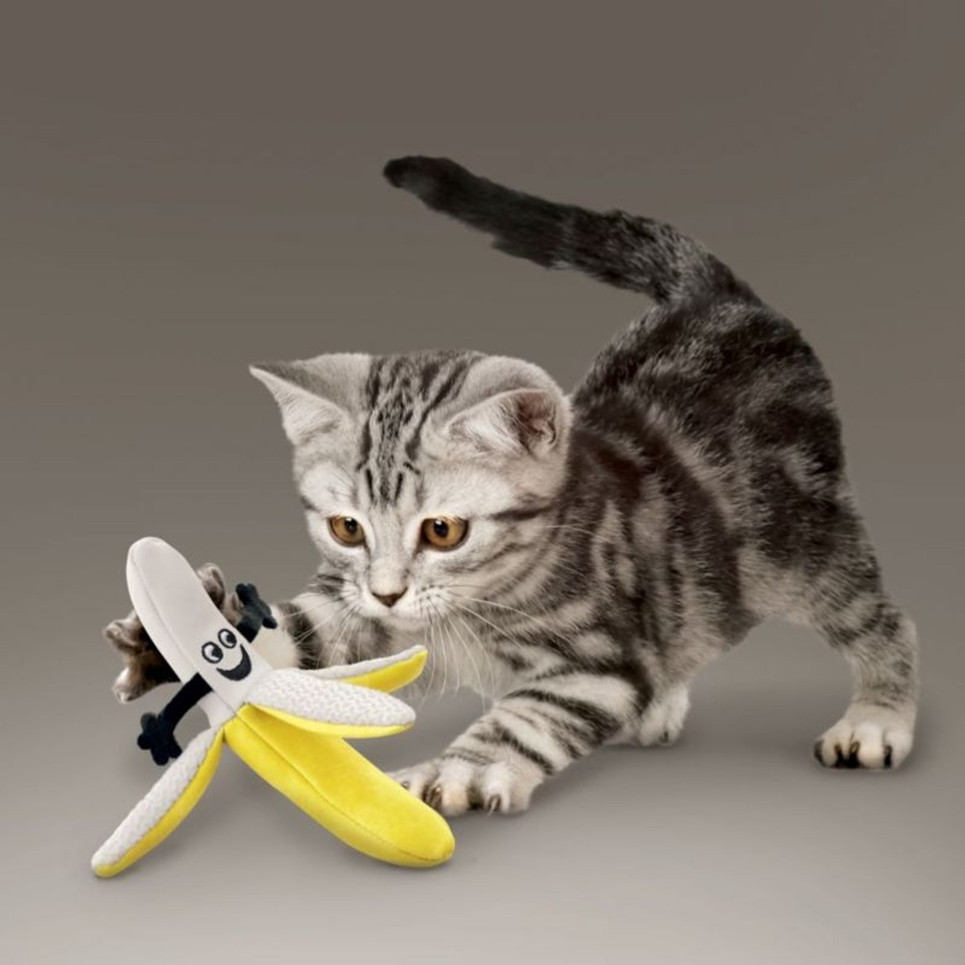 KONG Better Buzz Banana Assorted Cat Toy