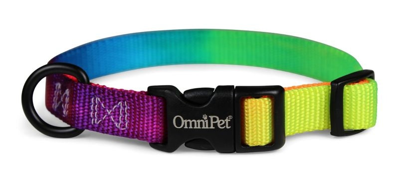 Kwik Klip Nylon Rainbow Dog Collar