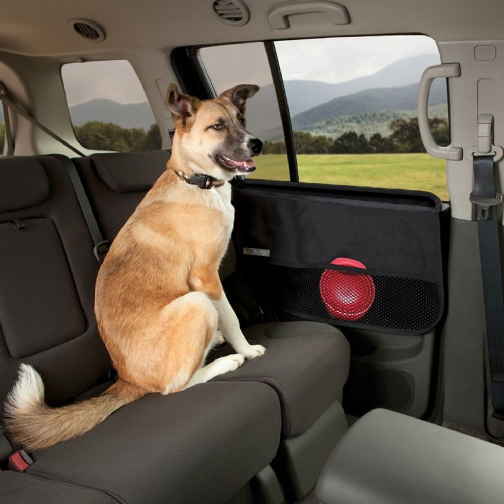 Kurgo Car Door Guard