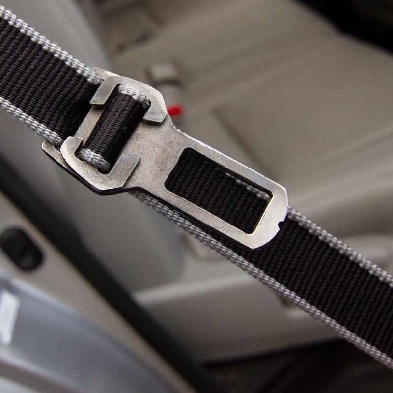 Kurgo Leash to Seatbelt Buckle