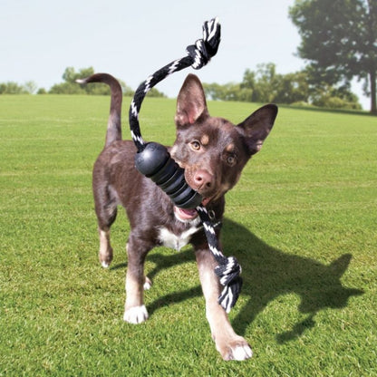 KONG Extreme Dental with Rope Dog Toy
