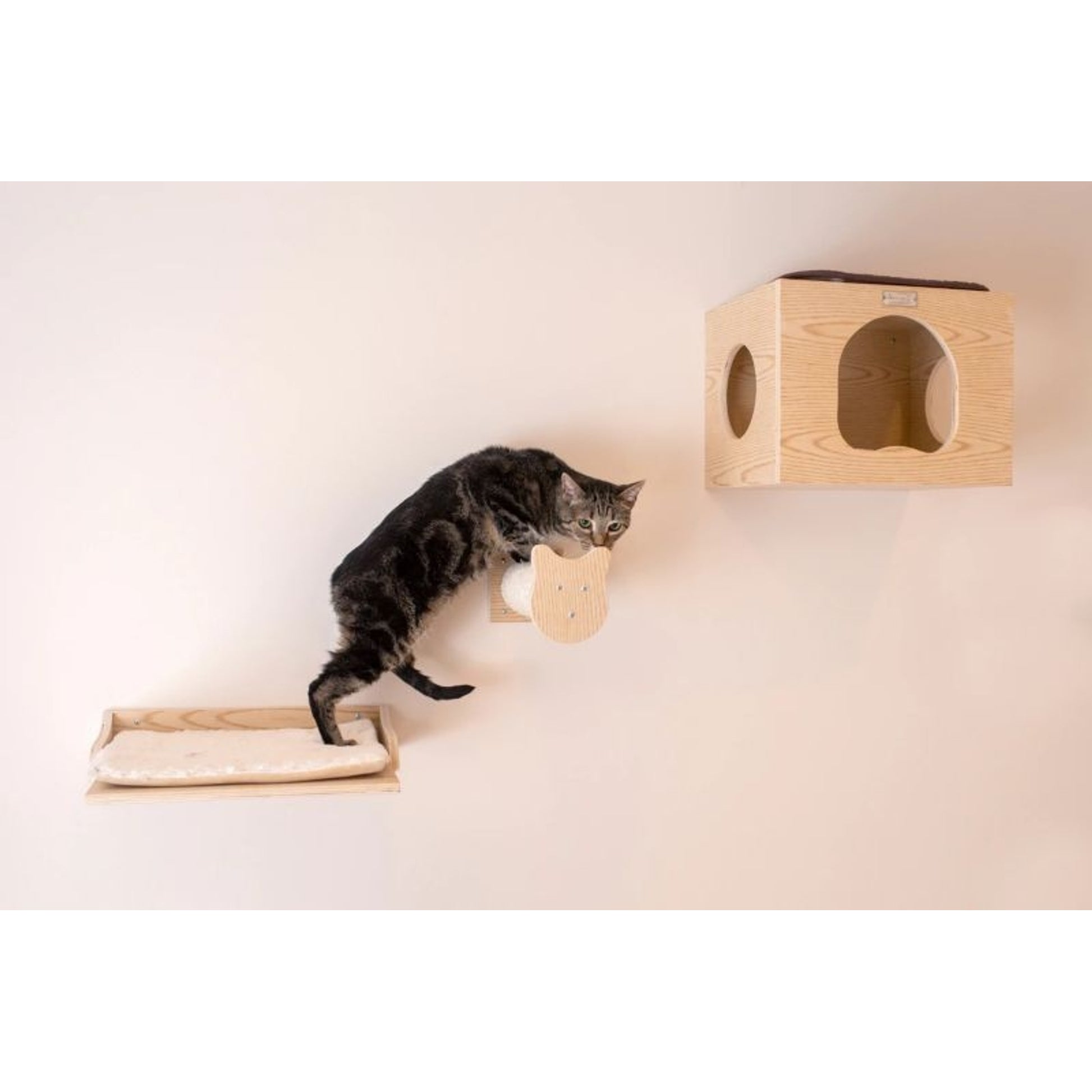 Armarkat Wall Series Cat Tree with Condo/Perches