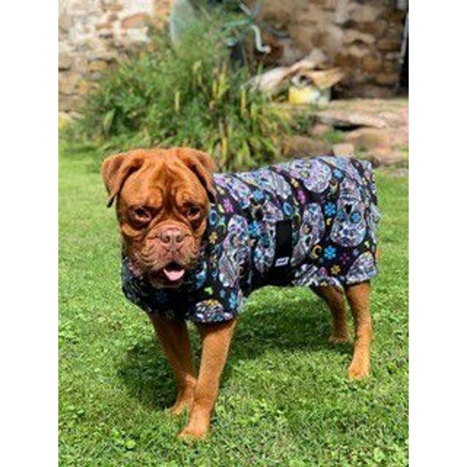 Snugpups Black Sugar Skulls Fleece Dog Coat