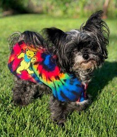 Snugpups Hippie Grateful Dead Dog Coat