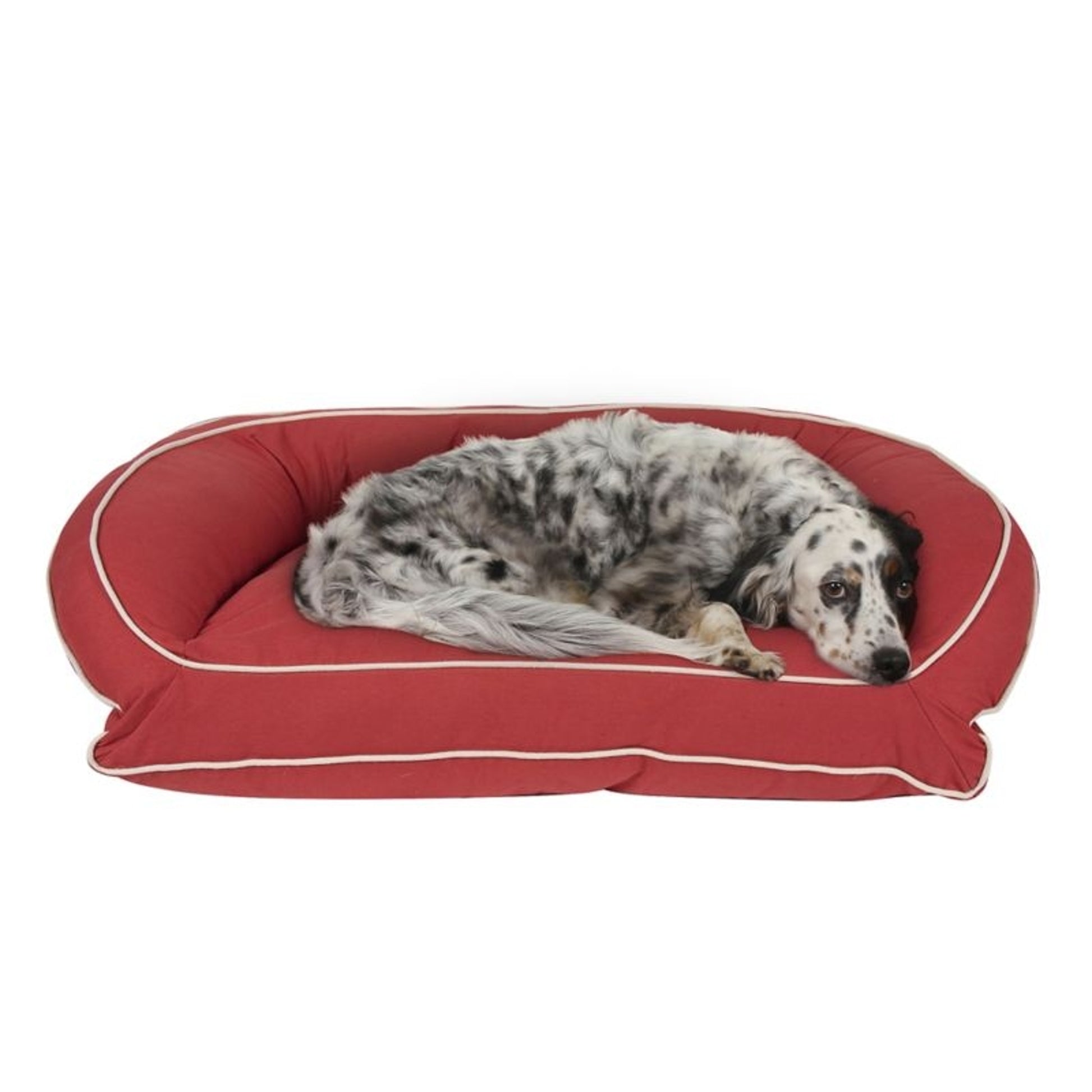 Carolina Pet Barn Red Canvas Ortho Bolster Bed