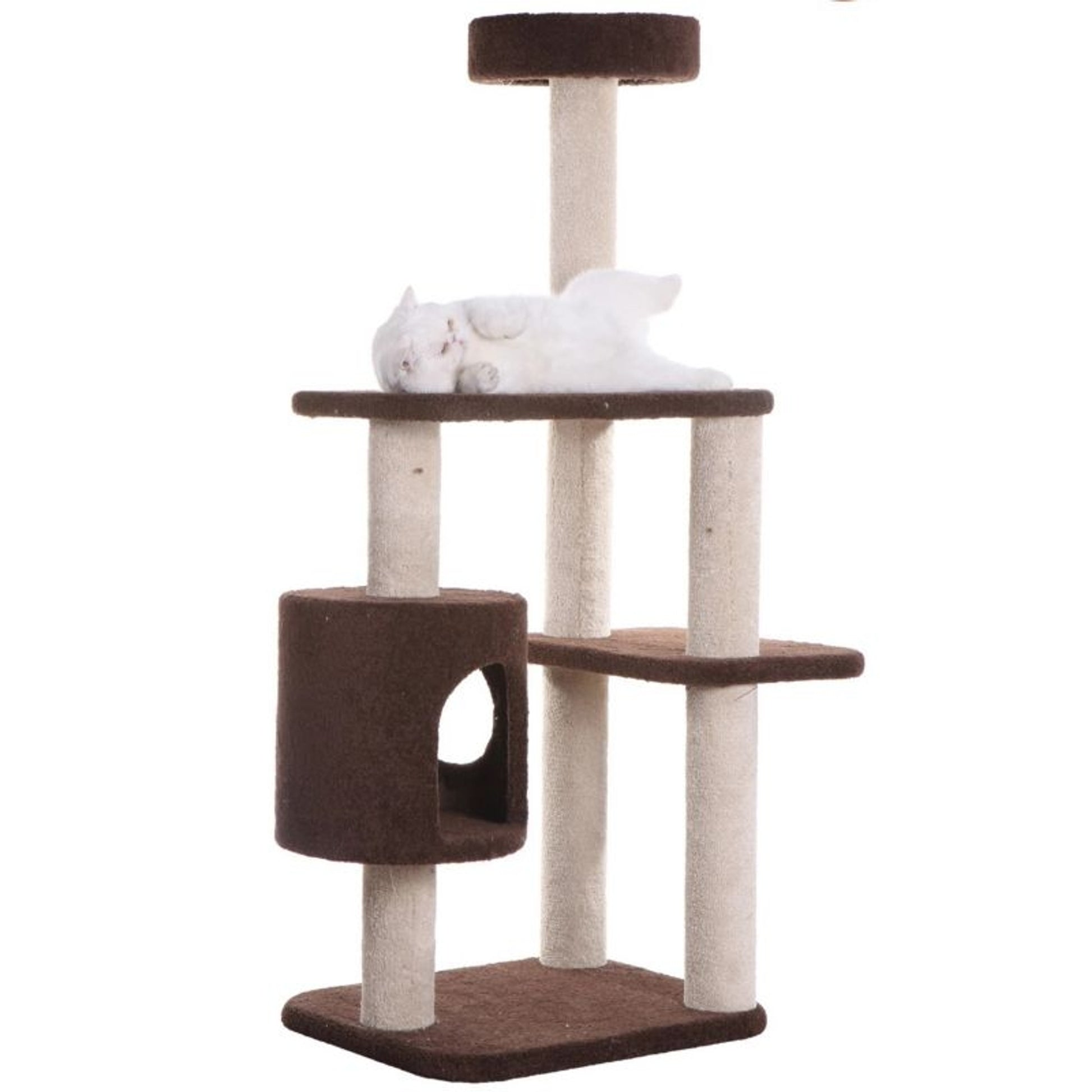 Armarkat Real Wood F5502 Carpeted Cat Tree Condo