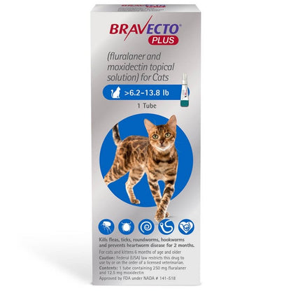 Bravecto Plus for Cats 2 Month Dose
