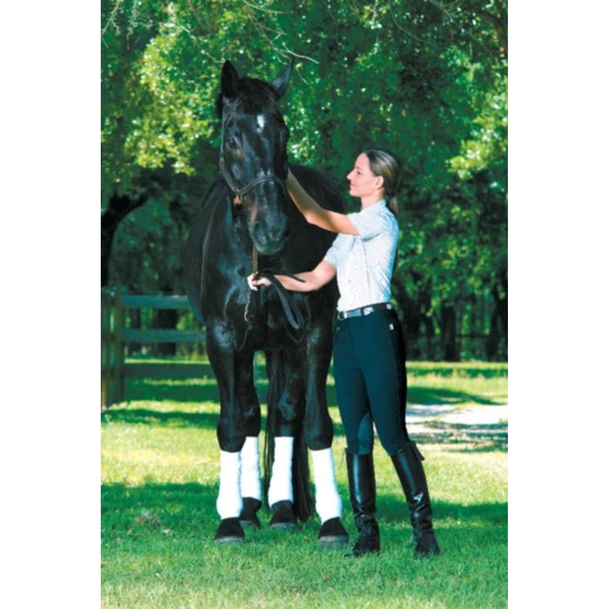 Devon-Aire Ladies All-Pro Ribbed Breech