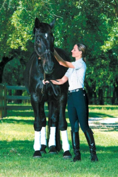 Devon-Aire Ladies All-Pro Ribbed Breech