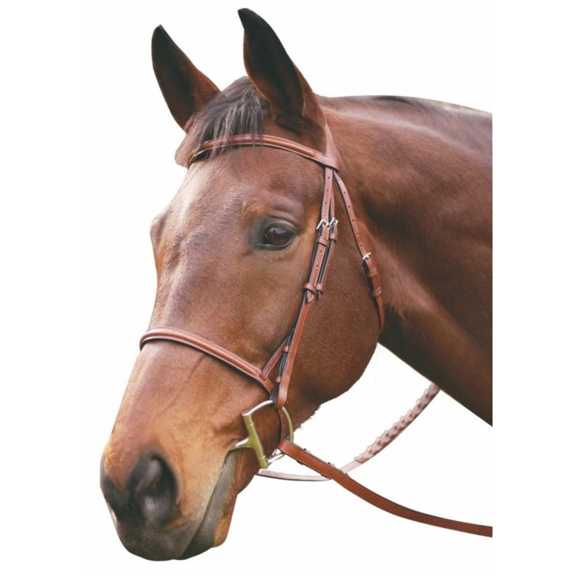 HDR Advantage Raised Snaffle Bridle