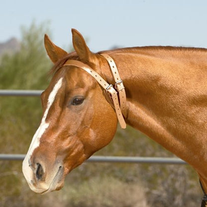 Weaver Miracle Collar