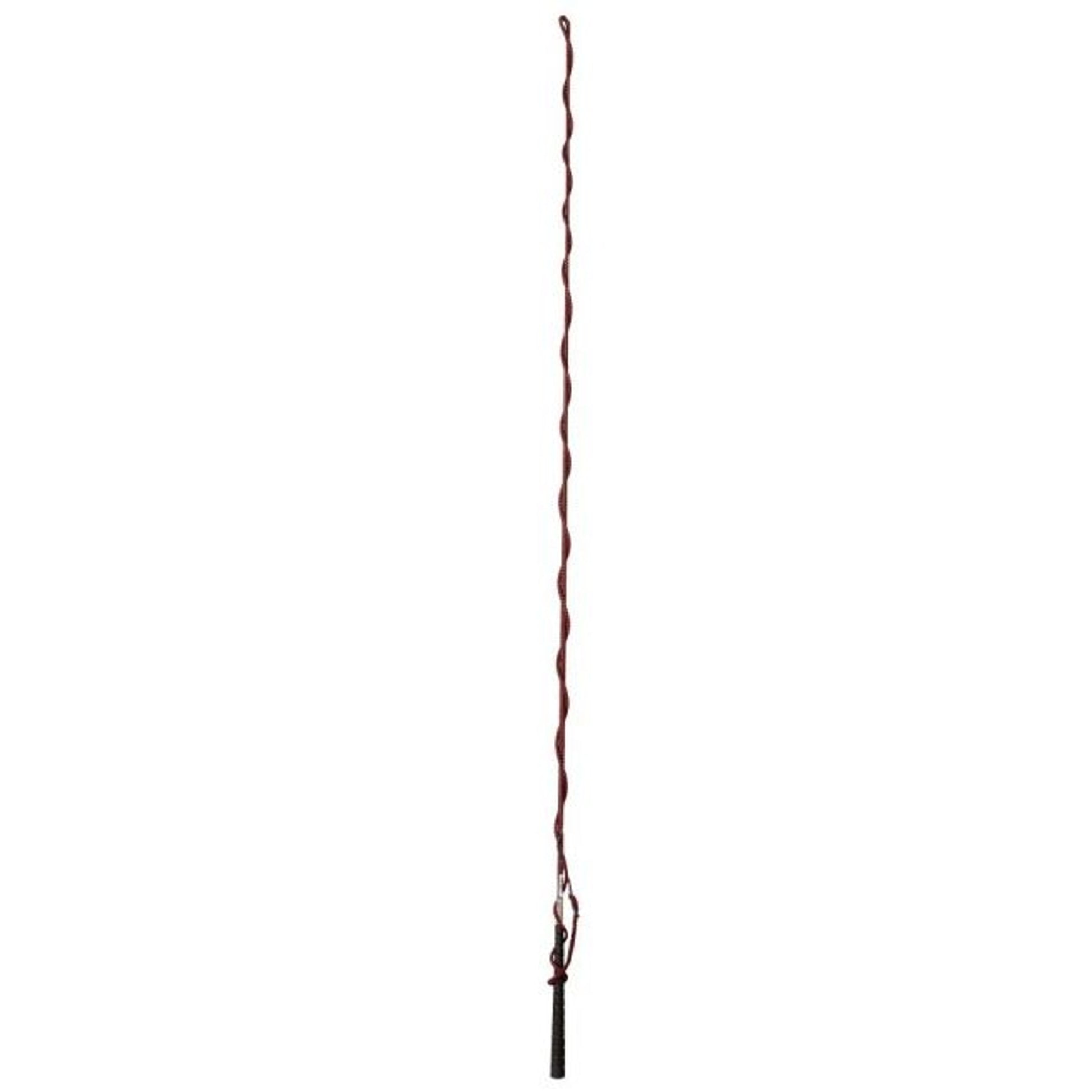 Tough1 Nylon Lunge Whip