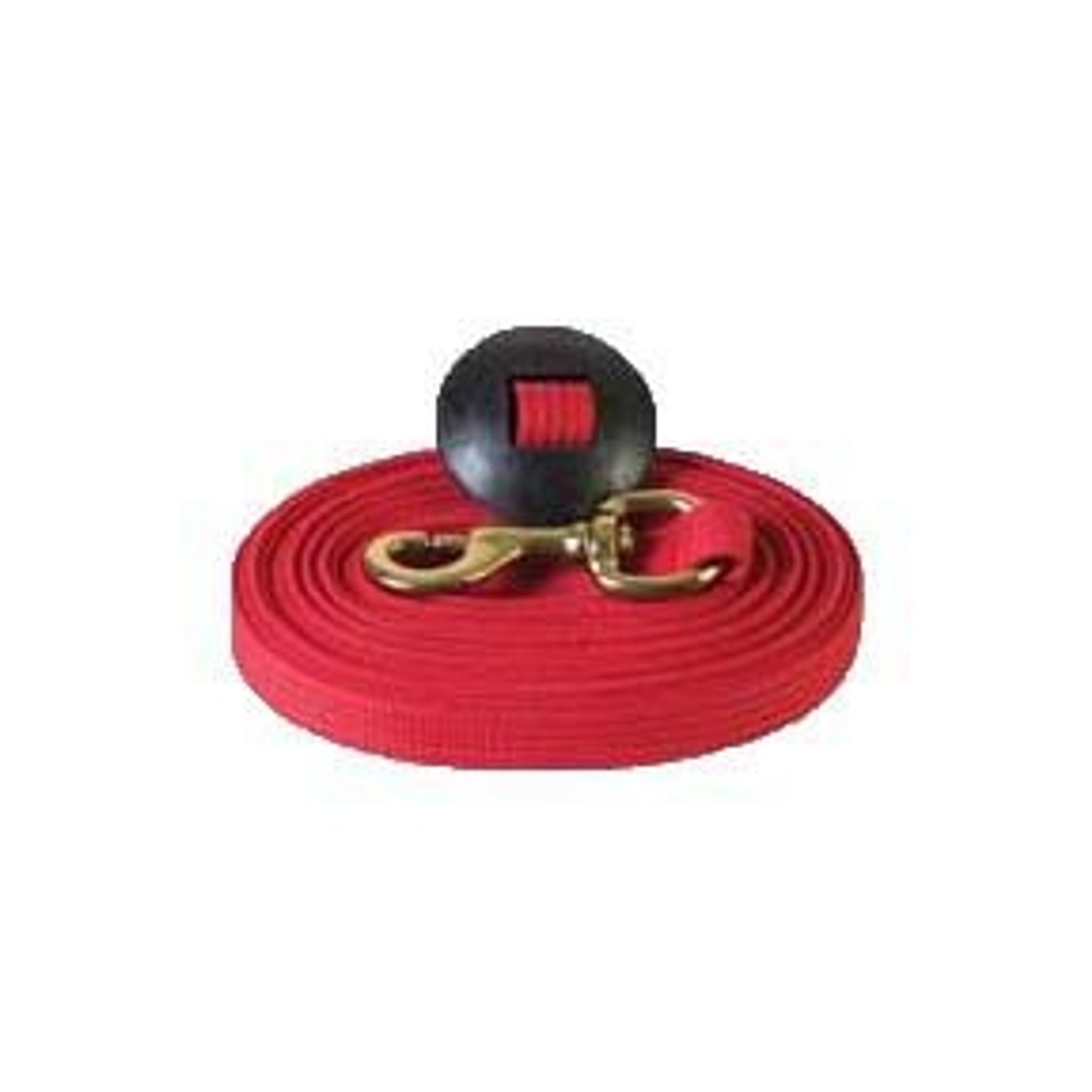 Basic Flat Cotton Web Lunge Line