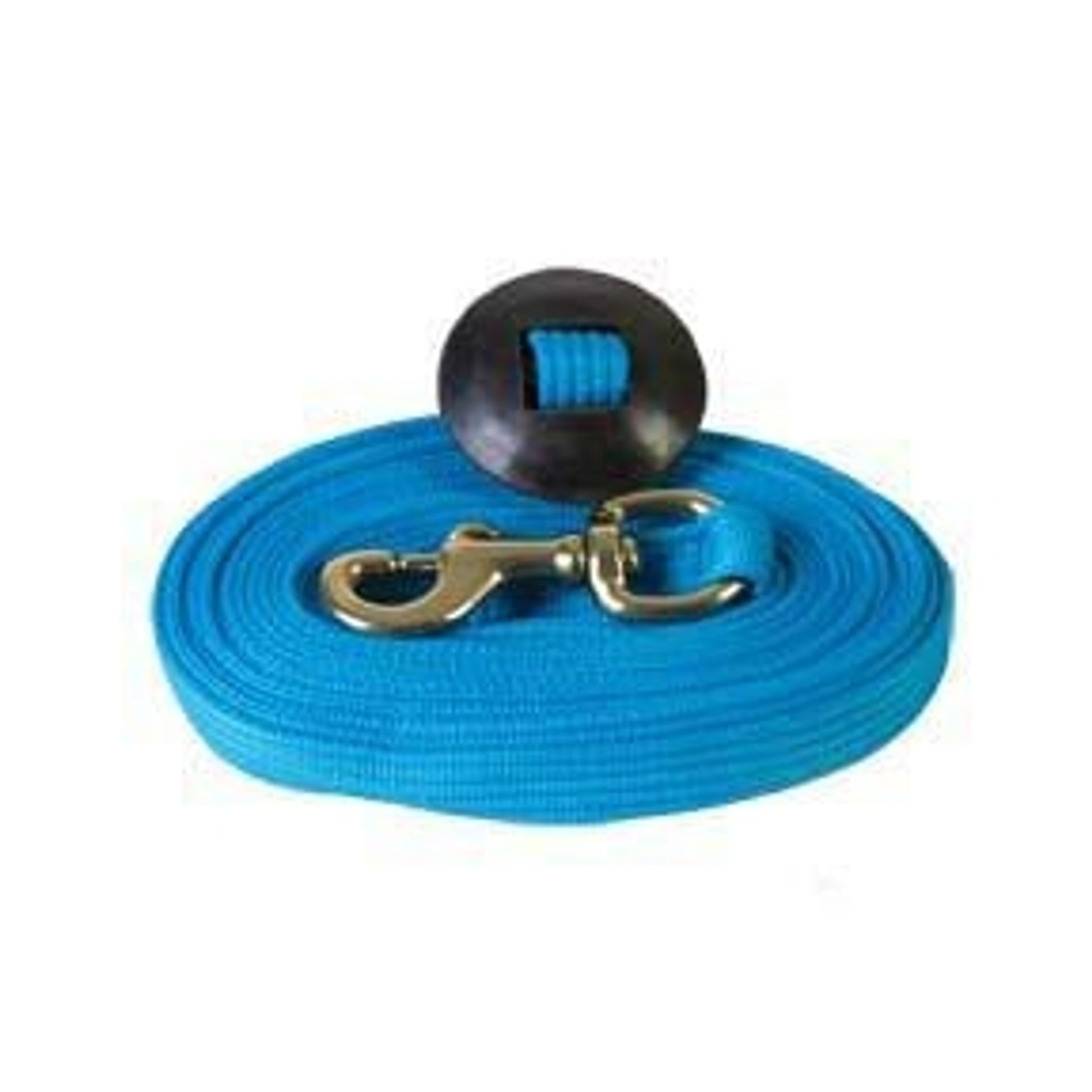 Basic Flat Cotton Web Lunge Line