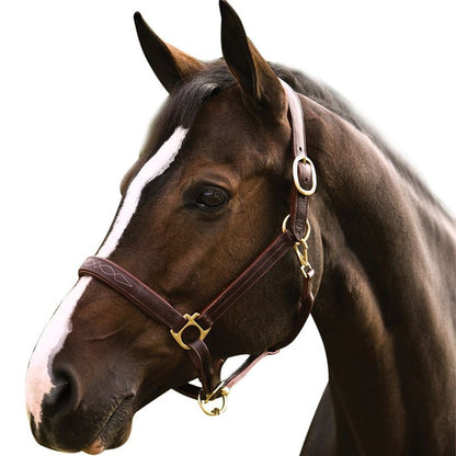 HDR Pro Fancy Padded Rolled Throat Halter