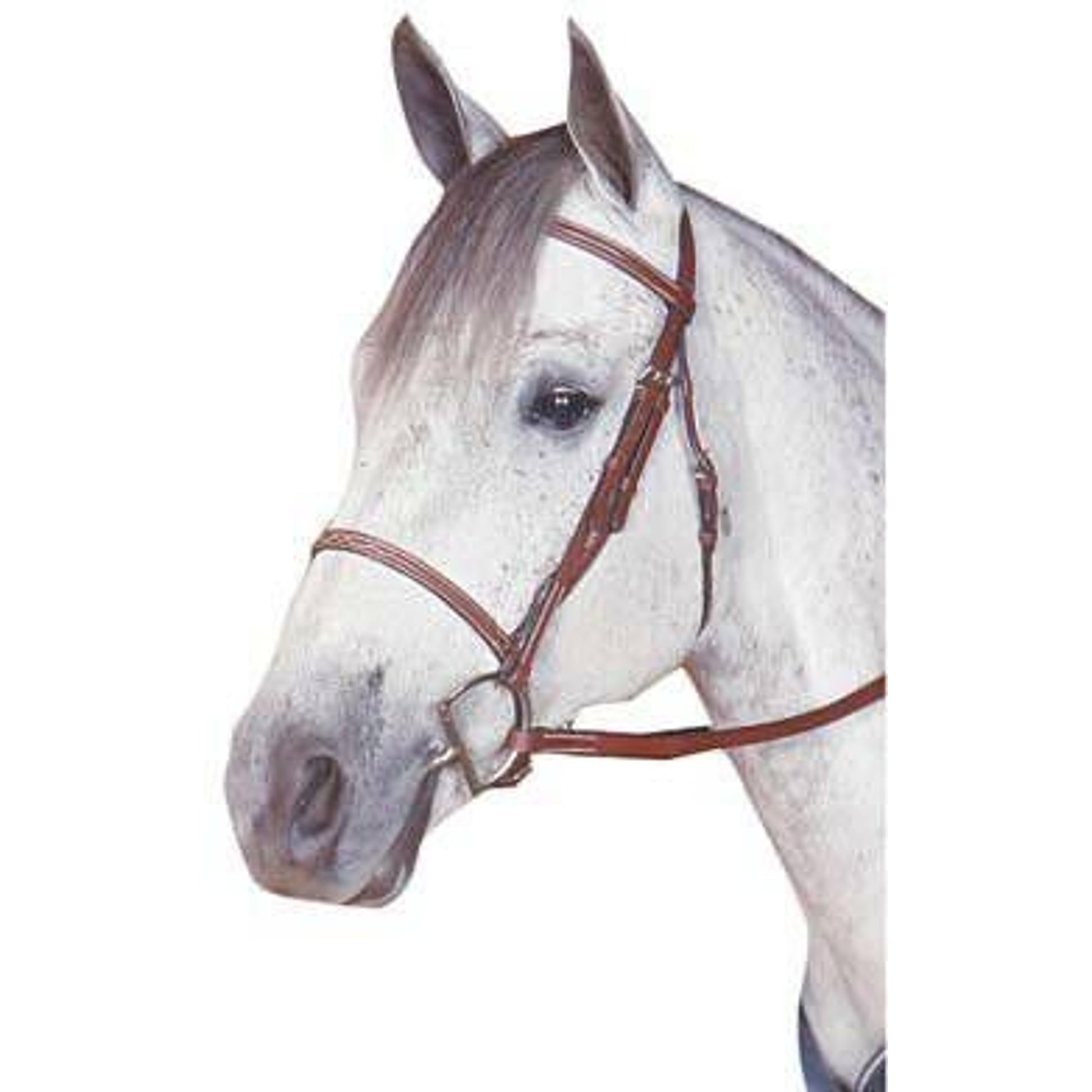 Kincade Raised Fancy Stitched Bridle