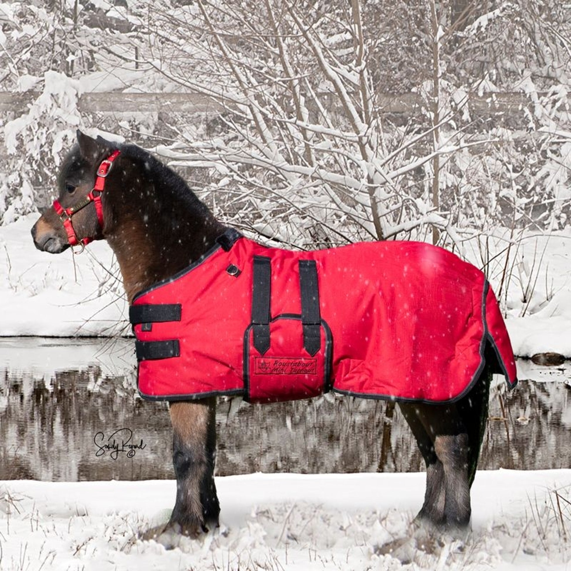 Ozark Mini/Pony Roustabout Blanket