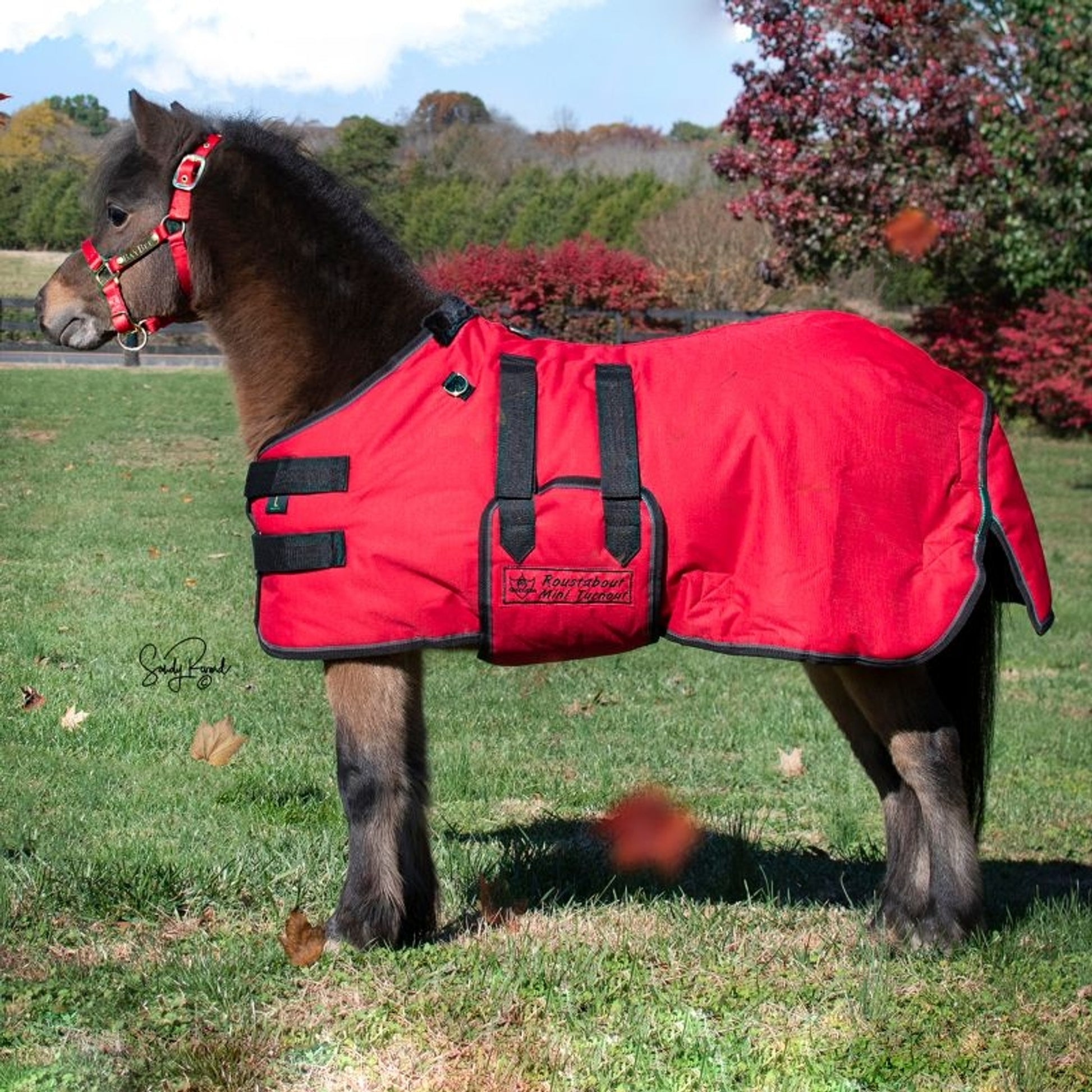 Ozark Mini/Pony Roustabout Blanket