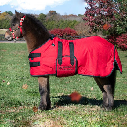 Ozark Mini/Pony Roustabout Blanket