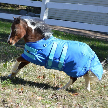 Ozark Mini/Pony Roustabout Blanket