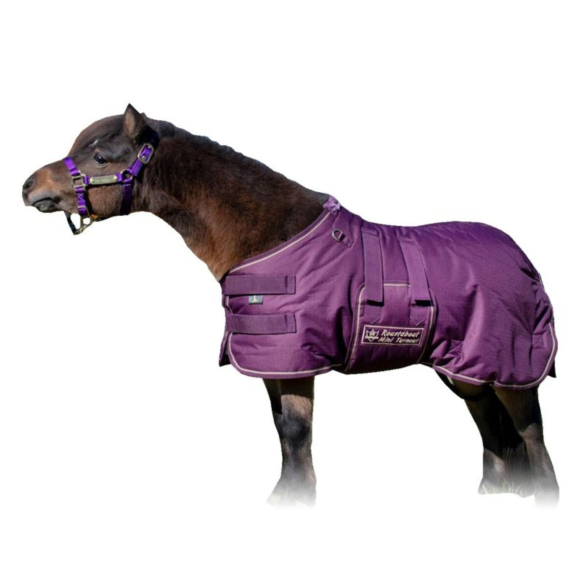 Ozark Mini/Pony Roustabout Blanket