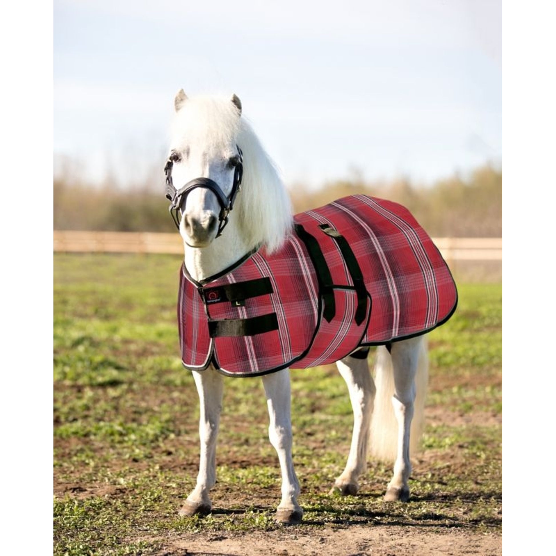 Kensington Protective Sheet Mini