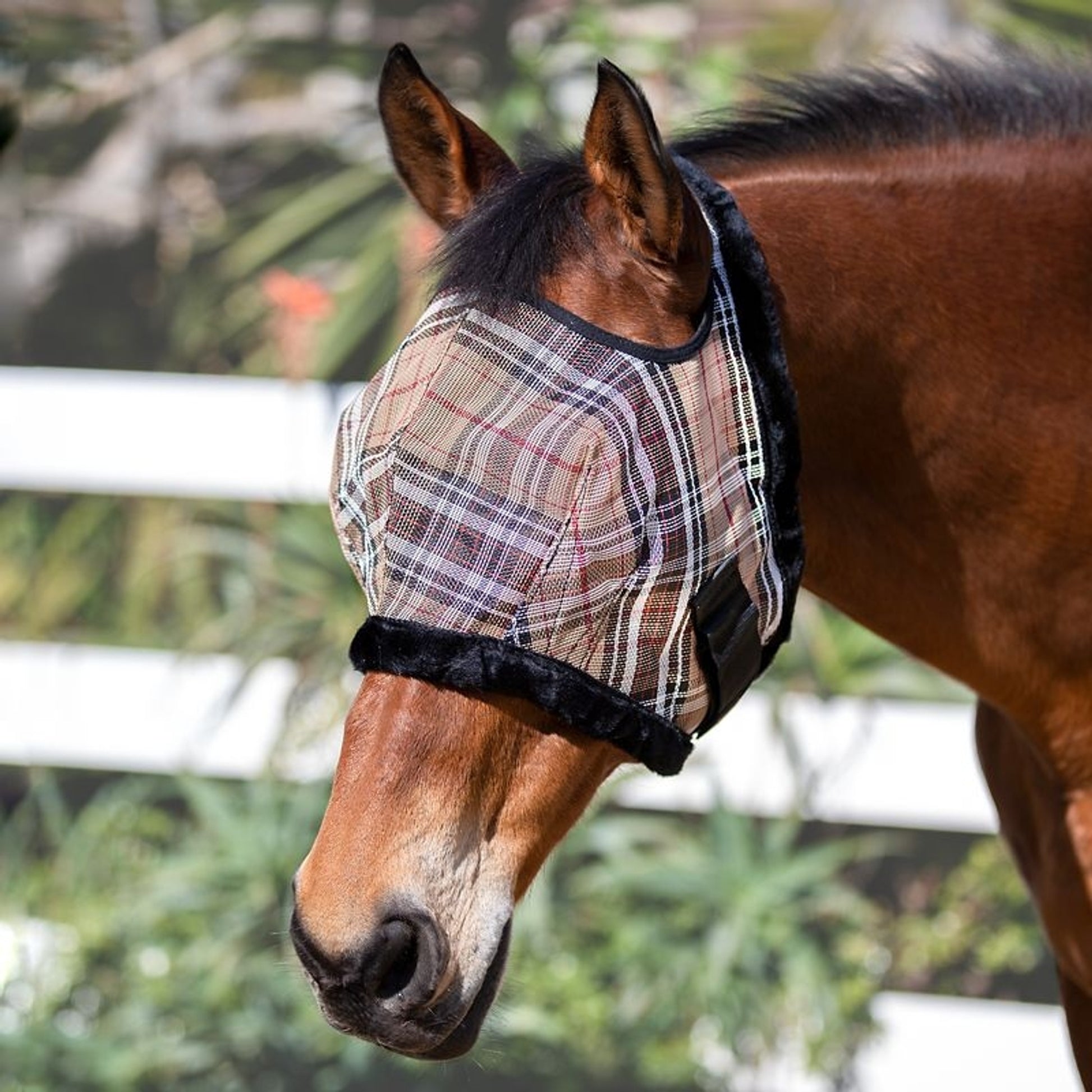 Kensington Signature Draft Fly Mask with Plush Fleece