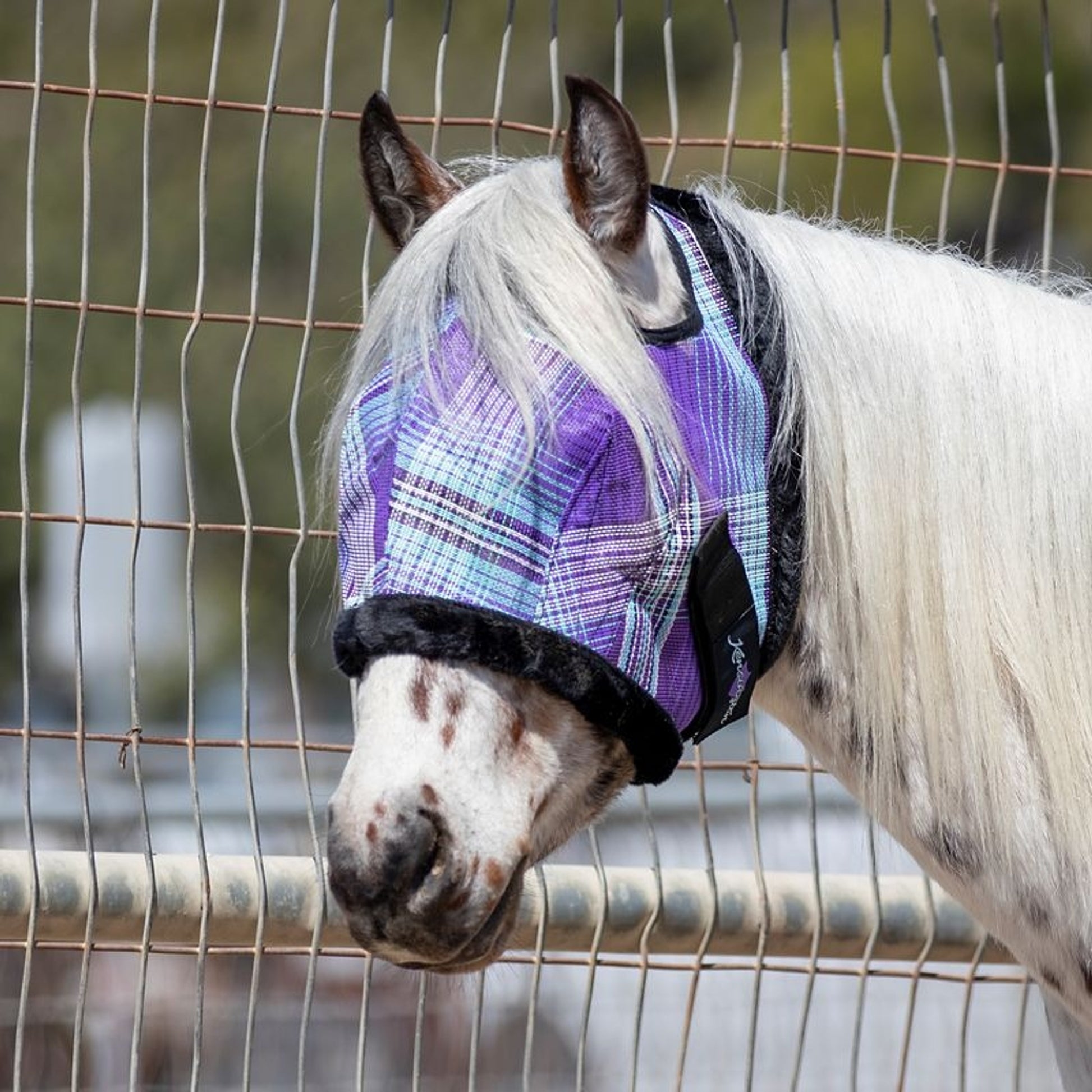 Kensington Signature Draft Fly Mask with Plush Fleece