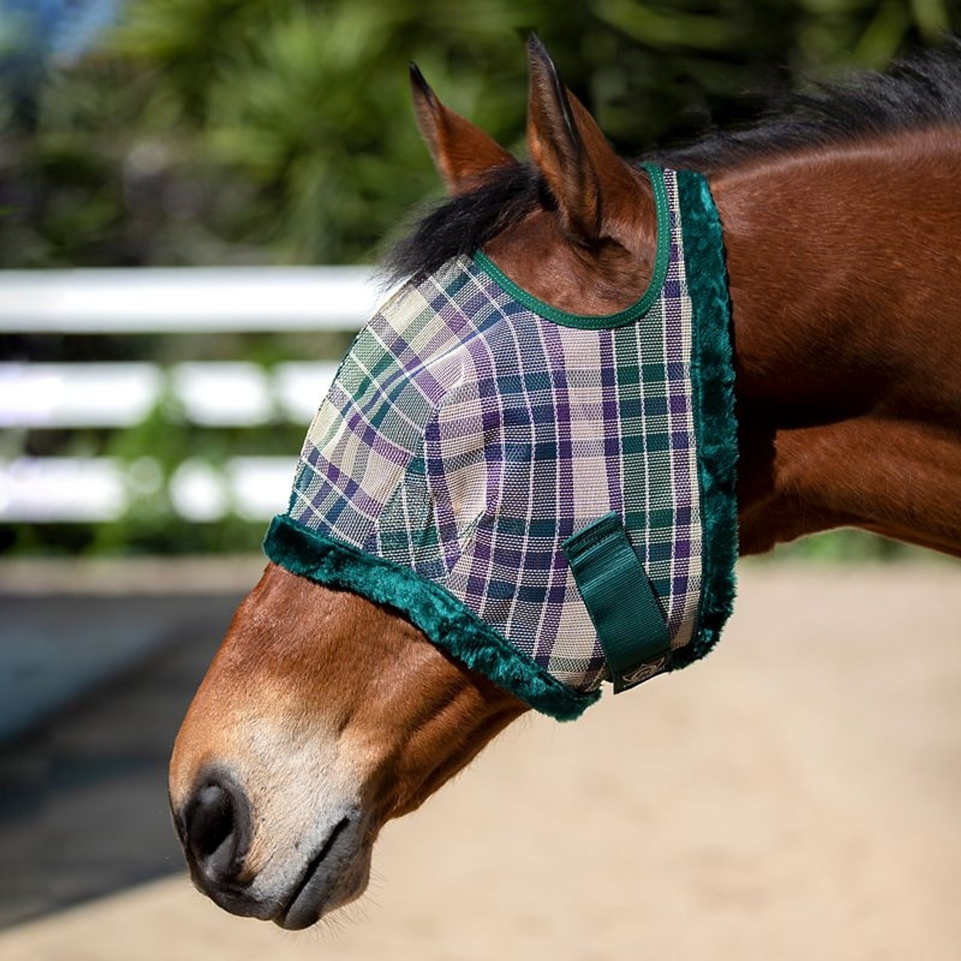 Kensington Signature Draft Fly Mask with Plush Fleece
