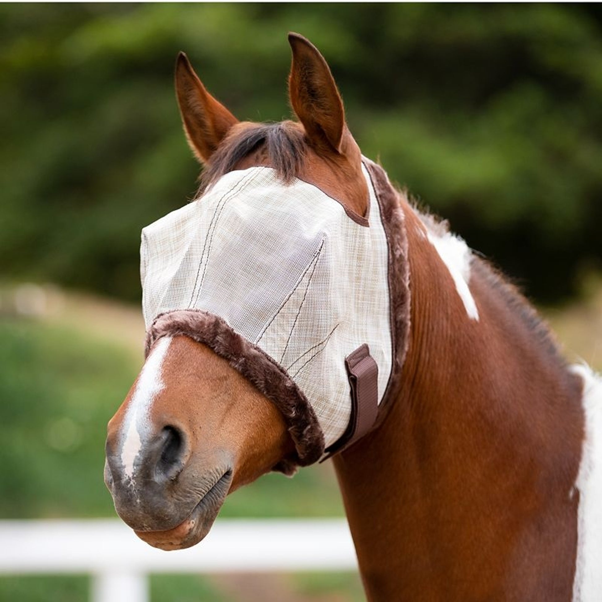 Kensington Signature Draft Fly Mask with Plush Fleece