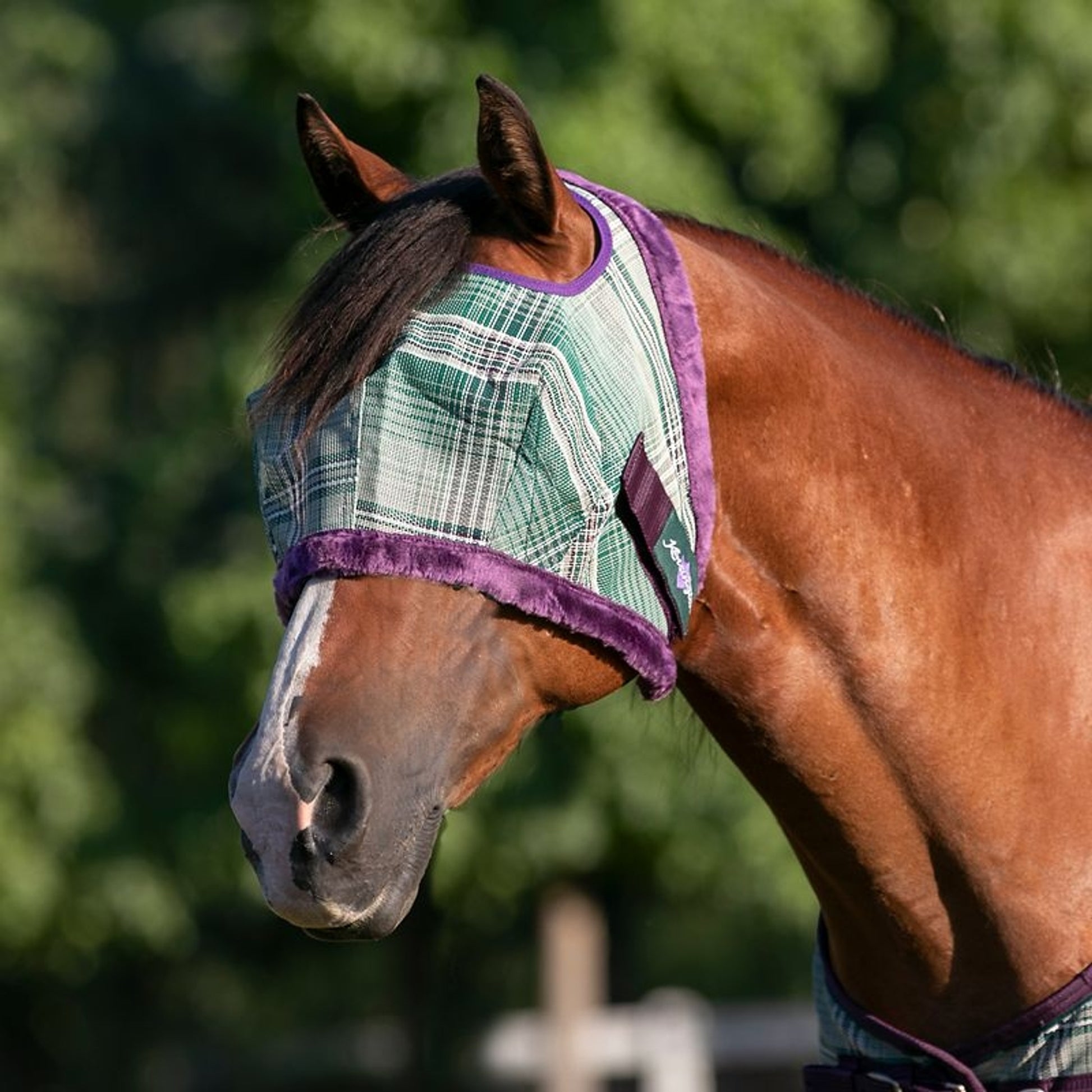 Kensington Signature Draft Fly Mask with Plush Fleece